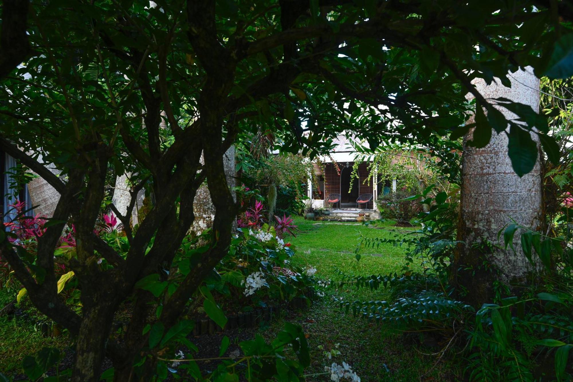 Bed and Breakfast Le Medinilla Bras-Panon Екстер'єр фото